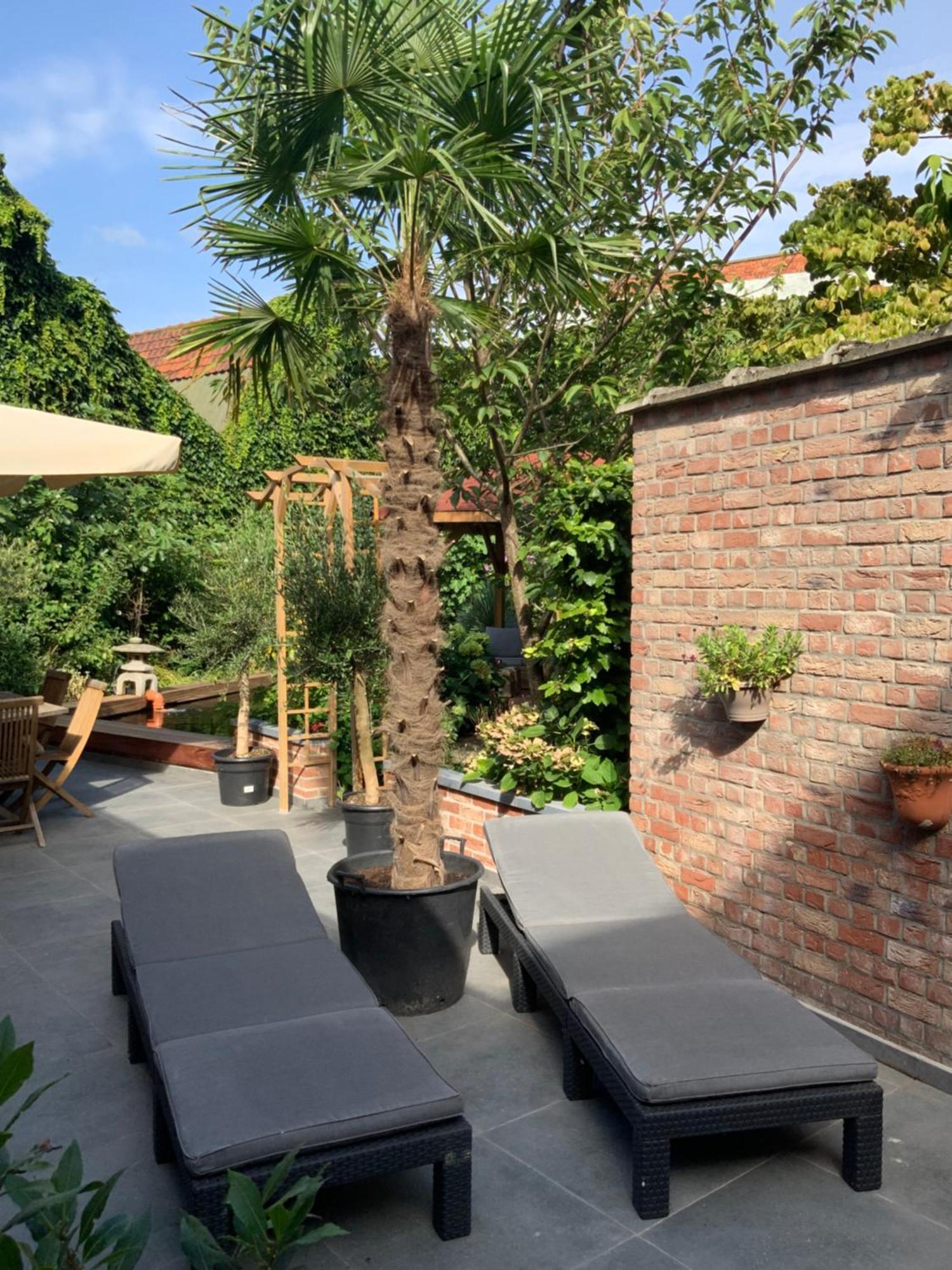 شقة Freetimeflat Mies & Fien خنت المظهر الخارجي الصورة